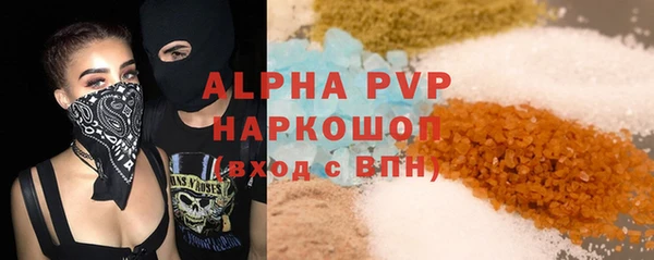индика Михайлов