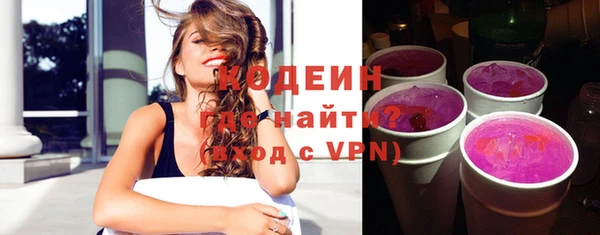 индика Михайлов