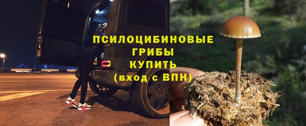 индика Михайлов
