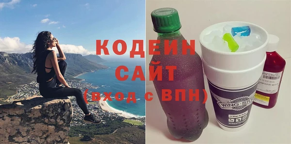 индика Михайлов